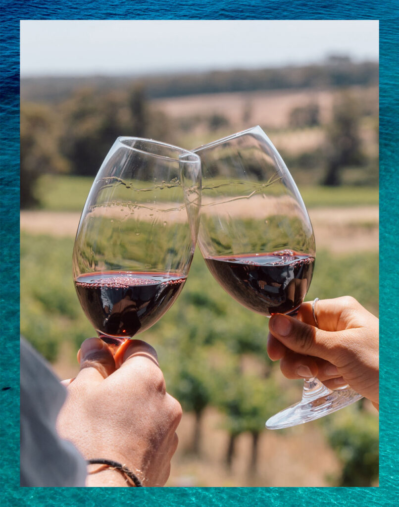 Two wine glasses held up against a background of grapevines.