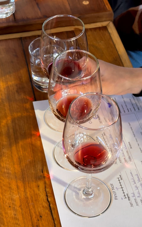 Three glasses of wine at a wine tasting.