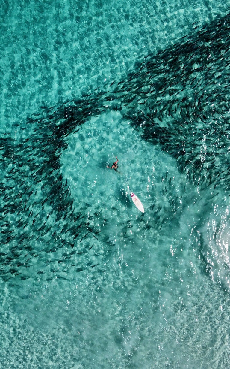 A man swimming through a school of fish.